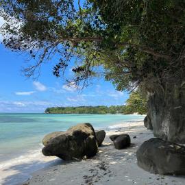 A & L Resort - Sea & Mountain View，位于Looc的酒店