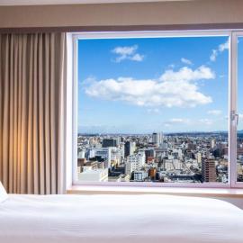 Hotel Nikko Oita Oasis Tower，位于大分的酒店
