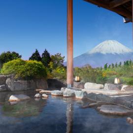 Hotel Green Plaza Hakone，位于箱根的酒店