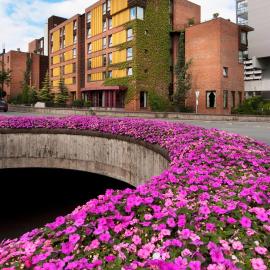Scandic Stavanger Park，位于斯塔万格的酒店
