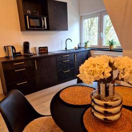 Soester Penthouse Apartement，位于索斯特的酒店