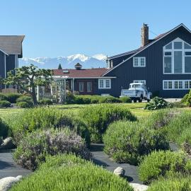 Dungeness Barn House Bed and Breakfast at Two Crows Farm，位于塞奎姆的酒店