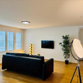 TONIGHT Apartments，位于Bottmingen的酒店