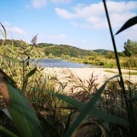403 Cozy Tiny House an der Elbe，位于布莱克德的酒店