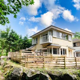Green Oasis Cottage A，位于箱根的酒店