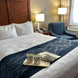 Comfort Inn，位于圣乔治斯的酒店