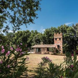 Tenuta Torre di Pian Castagno，位于苏特里的酒店