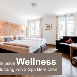 Grüner Baum Naturparkhotel & Schwarzwald-Restaurant，位于托特瑙的酒店