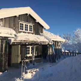 Bjønnhiet