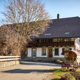 Gruppenunterkunft mit Wellness, Billard und Lamatrekking，位于Meikirch的酒店