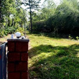 Green Heaven Kuruva Wayanad，位于Chekadi的酒店