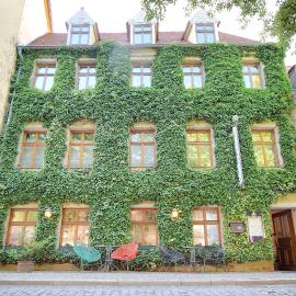 Zum Alten Krug，位于萨勒河畔瑙姆堡的酒店