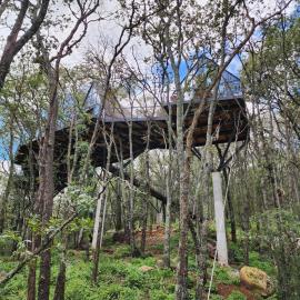 Cabaña Austral, Punta del Bosque