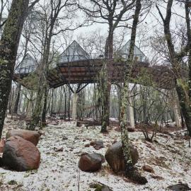 Cabaña Boreal, Punta del Bosque