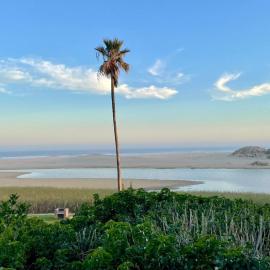 A Stone's Throw from the Ocean，位于Seafield的酒店