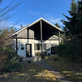Chalet BERGliebe Willingen- Nähe Skywalk，位于维林根的酒店