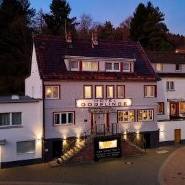 Gästehaus Dorflinde，位于Grasellenbach的酒店