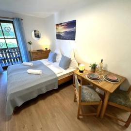 Apartment in Zwiesel Bayerischer Wald, Sauna, Pool, Wi-Fi，位于茨维泽尔的酒店