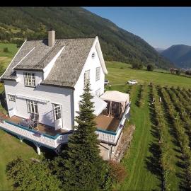 Sognefjorden-Vik i Sogn，位于Brekka的酒店