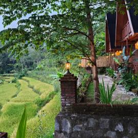 Villa Hening Senja Borobudur，位于Kayuares的酒店