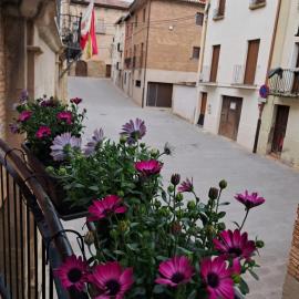 Albergue Casa Arqueña, sólo peregrinos，位于洛斯阿尔科斯的酒店
