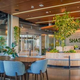 Shashi Hotel Mountain View Palo Alto，位于山景城的酒店