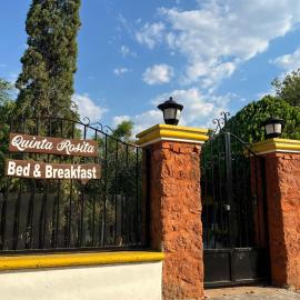 Quinta Rosita，位于Ticul的酒店