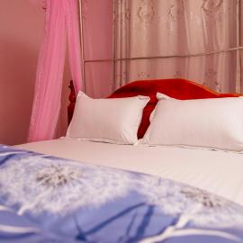 PK Sleek Suites，位于Bugembe的酒店