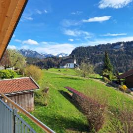 Beim Hofar - die neuen Ferienwohnungen in Obermaiselstein，位于上迈塞尔施泰因的酒店