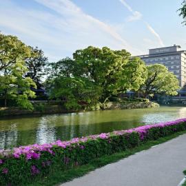 Hotel New Otani Saga，位于佐贺市的酒店