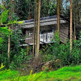 Cabaña en Tabio，位于塔比奥的酒店