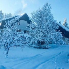 Holiday house with a parking space Srednja Draga, Gorski kotar - 24140，位于Tršće的酒店
