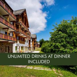 Pohorje Village Wellbeing Resort - Forest Hotel Videc