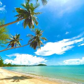 Lipa Lodge Beach Resort，位于利巴诺伊的酒店