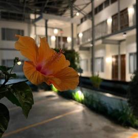 3B Boutique Hotel & Restaurant,位于清迈的酒店