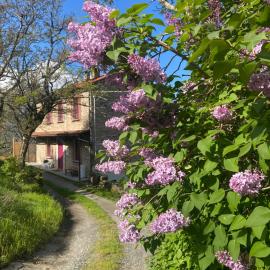 La Lupa e l'Orso B&B，位于贝尔切托的酒店