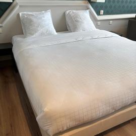 Hotel La Pomme d'Or，位于奥德纳尔德的酒店