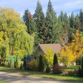 Cozy Cabin, 2 min to the HWY1，位于Tappen的酒店