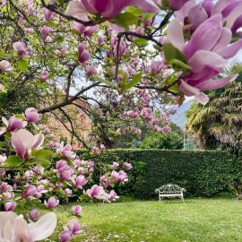 La Limonaia - Tremezzo by LoveComo