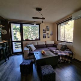 "Whispering pines" vacation home, close to Sofia，位于Gola Glava的酒店