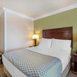 Best Western PLUS Mirage Hotel and Resort，位于海莱夫尔的酒店