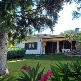 VILLA Amena WI-FI AC Giardino privato，位于SantʼAntonio的酒店