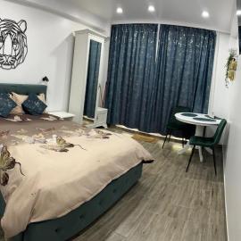Studio，位于Dorohoi的酒店