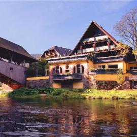Das Waldhaus,位于福尔巴赫的酒店