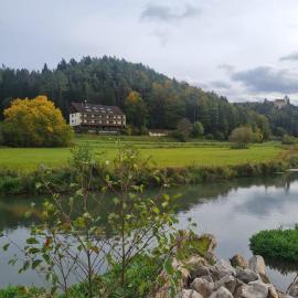 Waldpension Rabeneck，位于魏申费尔德的酒店