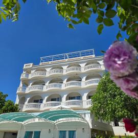 Villa Bellevue，位于诺维·维诺多尔斯基的酒店