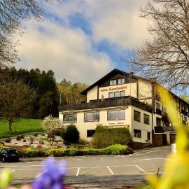 Natur & Wander Hotel Gassbachtal，位于Grasellenbach的酒店