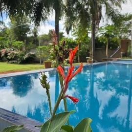 Estanzuela Eco Lodge，位于Itauguá的酒店