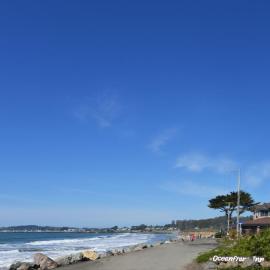 The Oceanfront Stay on MiramarBeach HMB，位于半月湾的酒店