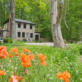 Clinton's Hidden Secret, a Distillerie until 1926，位于Clinton的酒店